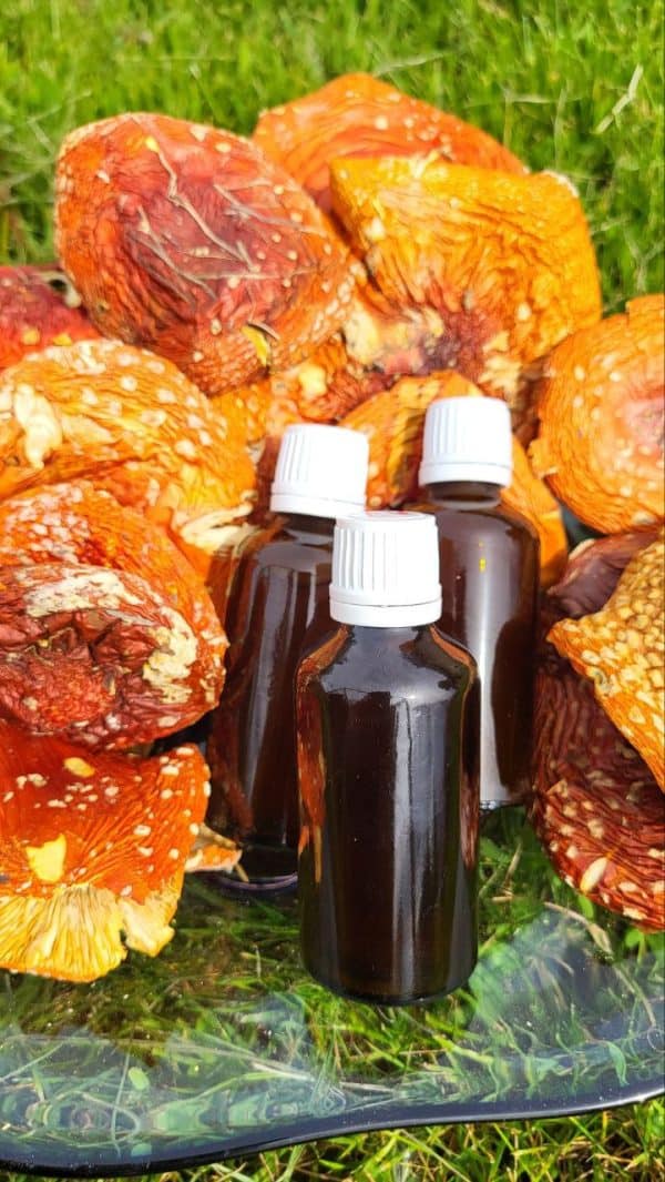 Мухомор красный (настойка)