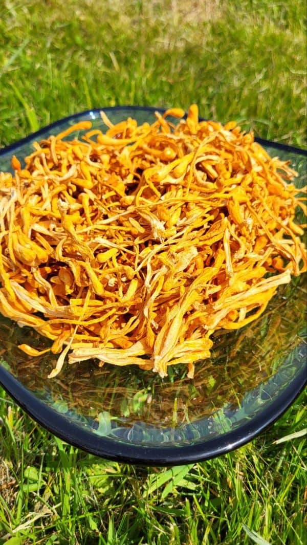 Кордицепс военный (целые сушеные)