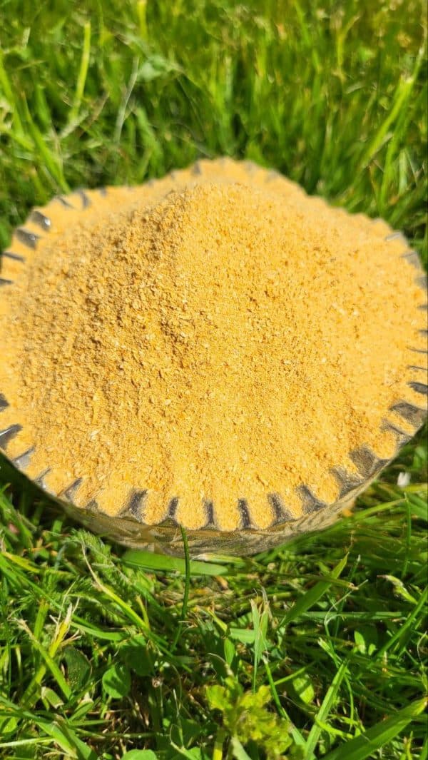 Кордицепс военный (порошок)