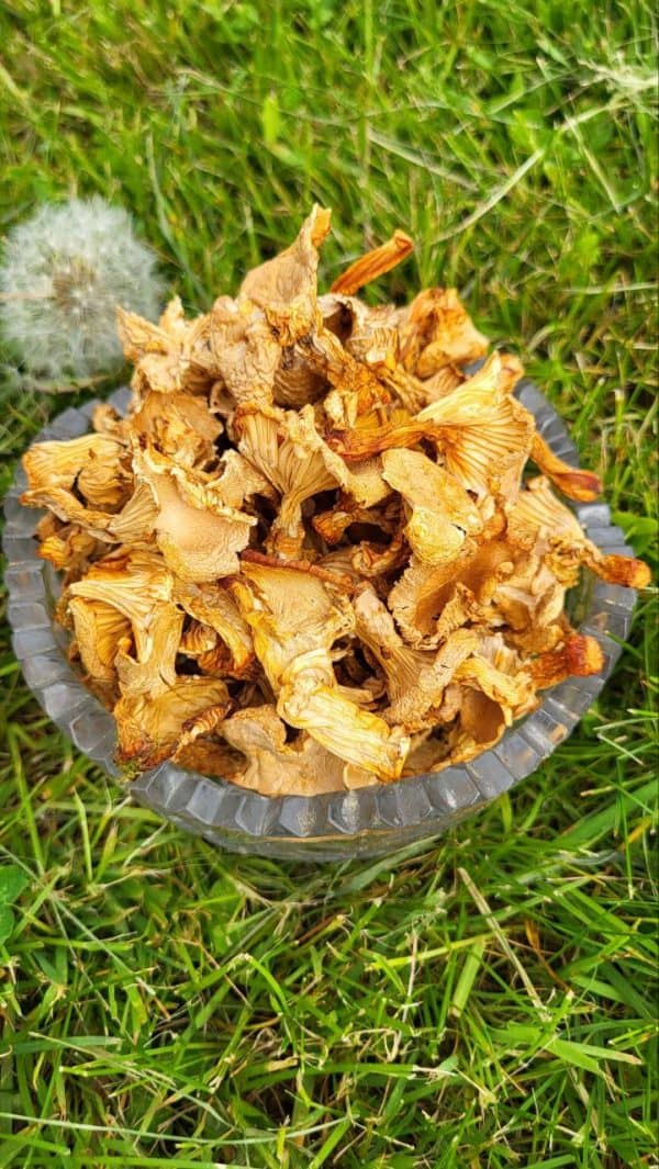 Лисички (порошок)